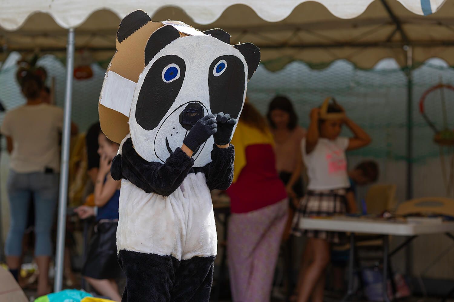 Photo de 16-17-18 juillet : Ateliers et spectacle "Adieu Meringue" - 39